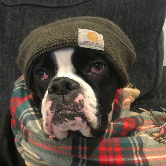 Profile Picture of Wendy Dernovsek (@gmawendyd) on Poshmark