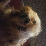 Profile Picture of jonathon (@jon_hilton._) on Instagram