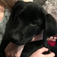 Profile Picture of Jenna Minter  (@jenna-minter) on Quora