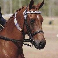 Profile Picture of Amanda Orchard (@Amanda-Orchard) on Facebook