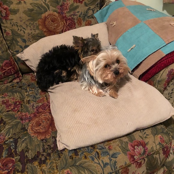 Profile Picture of Sherri Ortiz-colon (@sherri894) on Poshmark