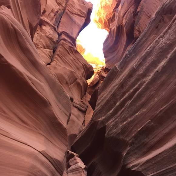 Profile Picture of Stuart Cohen (@scohen1838) on Poshmark