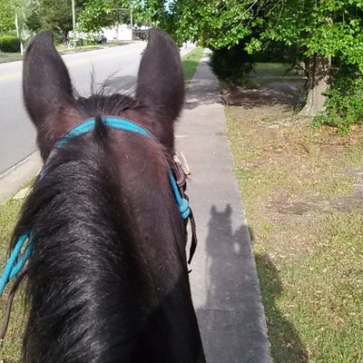 Profile Picture of Rene Bartlett-Wright (@Honestysbest) on Twitter