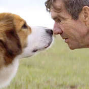 Profile Picture of Ryan McAndrews (@ryanmcandrews4448) on Youtube