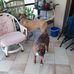 Profile Picture of Patrick Curley (@patrick.curley.583) on Facebook