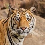 Nathan Dearman - Instagram Profile Picture of Nathan Dearman (@gods_kid_of_many) on Instagram