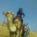 Profile Picture of Haytham Ibrahim (@haytham_hh99) on Pinterest