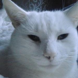 Jayne Parsons - Twitter Profile Picture of Jayne Parsons (@jayneefc_jayne) on Twitter