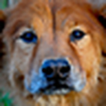 Profile Picture of Brian Bunn (@bkbunn) on Flickr