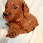 Profile Picture of Michael Ruberton (@michaelruberton) on Instagram