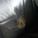 Profile Picture of Barry Schannep (@barryschannep) on Instagram