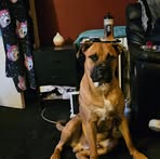 Profile Picture of Scott Mcgilvray (@Scott-Mcgilvray) on Facebook