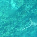 Profile Picture of Peter Schick (@schicky_peter) on Instagram