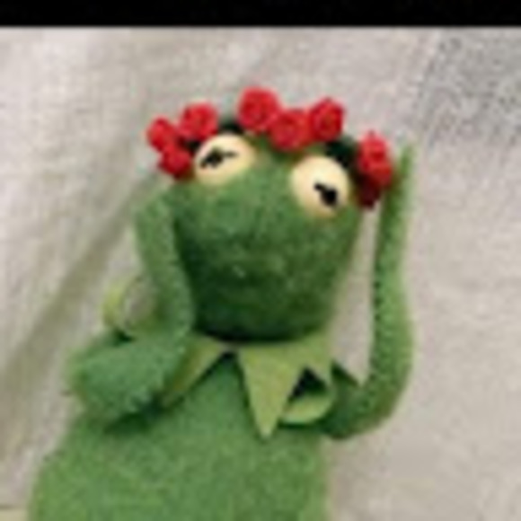 Profile Picture of Goose Goose (@goosegoose837) on Poshmark