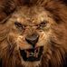Profile Picture of Michael Karim (@michael.karim.7796) on Facebook