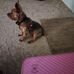Profile Picture of Gigi Scheyko (@gigi.scheyko.980) on Facebook