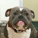 Profile Picture of kandice meyer (@lmajdjf) on Instagram