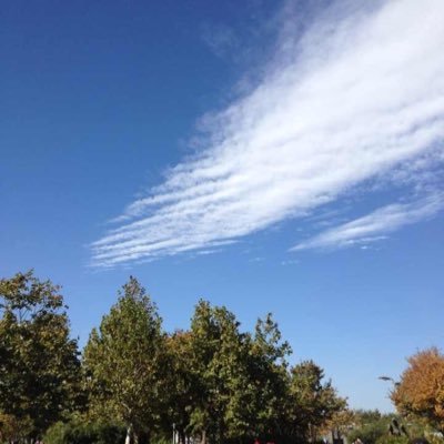 Profile Picture of Wang Zhen (@WangWangzhen) on Twitter