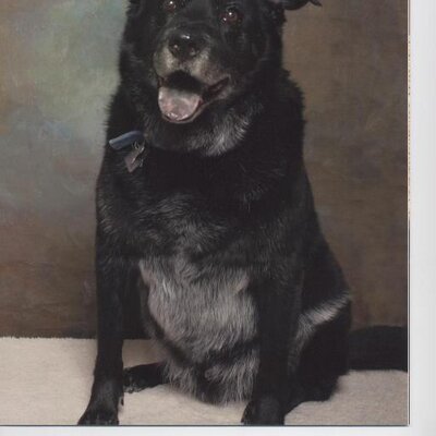 Profile Picture of Paul Mcmullin (@pjmac651) on Twitter