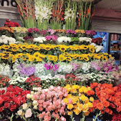 Profile Picture of Adil Ashraf (@adilflowershop) on Youtube