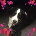 Profile Picture of Jill Brager (@jill.brager) on Facebook