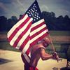 Profile Picture of Joel Shedd (@@joelshedd) on Tiktok