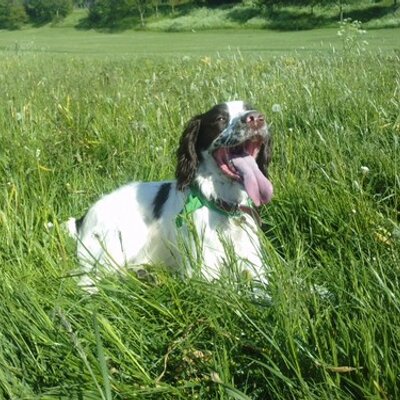 Profile Picture of Angela Obrien (@Angie1465) on Twitter