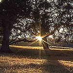 Profile Picture of Lisa pruitt (@lisapruitt) on Flickr