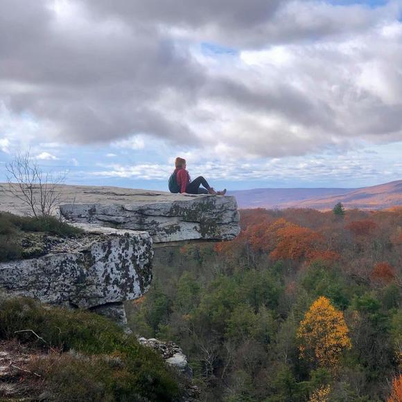 Profile Picture of Brianna Borrelli (@briannab1027) on Poshmark