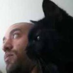 Profile Picture of Joseph DaCosta (@domy5221985) on Instagram