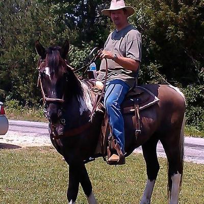 Profile Picture of David M Rushlow (@Dee_Rush_Low) on Twitter