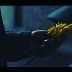 Profile Picture of vivian (@vivian__hannah) on Instagram