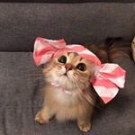 Profile Picture of Marysia Chachuła (@m_chachula_) on Instagram