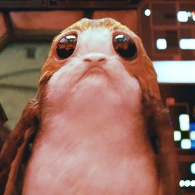 Profile Picture of Dave Catten (@DaveCatten) on Twitter