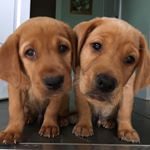 Profile Picture of David Smethers (@drdavywonder) on Instagram