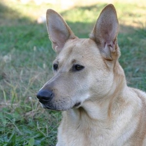 Profile Picture of Athena Lamb (@miss_leg_of_lamb) on Myspace