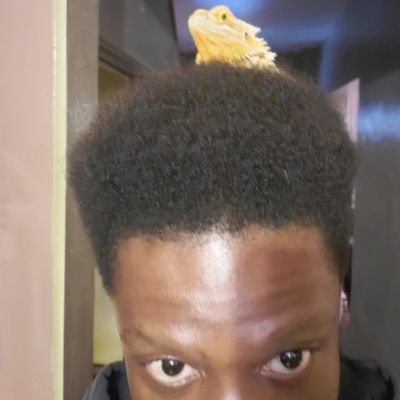 Profile Picture of Not James Royall (@RealJamesRoyall) on Twitter