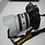 Profile Picture of Vo Quoc Tung (@vo quoc tung) on Flickr