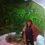 Profile Picture of Michele Behar (@michelebehar) on Instagram