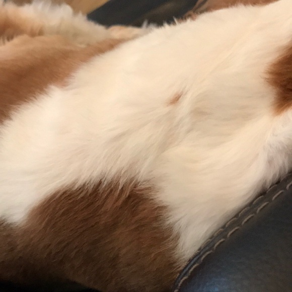 Profile Picture of Kim Vandenbossche (@kvandenbossche) on Poshmark