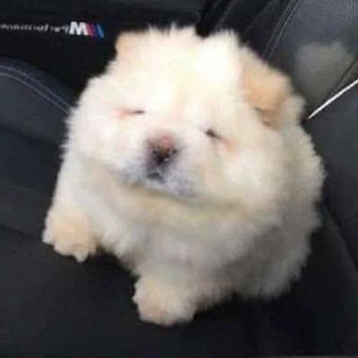 Profile Picture of JedMellow (@CarlMello4) on Twitter