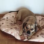 Profile Picture of Melanie Becker (@Melanie-Becker) on Facebook