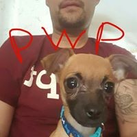 Profile Picture of Jesse Sotelo (@jesse-sotelo-3) on Quora