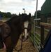 Profile Picture of Rebecca Pritchard (@rebecca.pritchard.90834) on Facebook