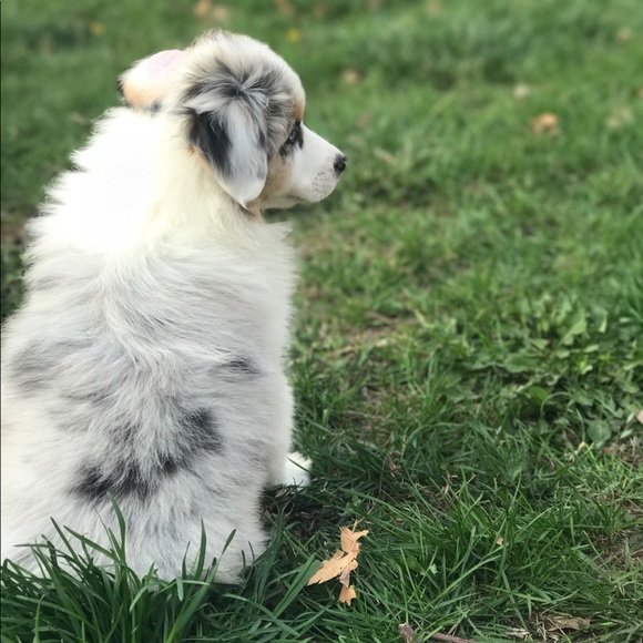 Profile Picture of Alyssa Kenkel (@alkenel) on Poshmark