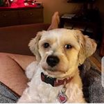 Profile Picture of Hawkins F (@hawkinsfelix72fazzz) on Instagram