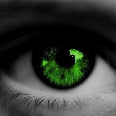 Profile Picture of Paulléba (@senapaula) on Twitter