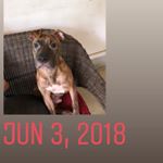 Profile Picture of Kevin Bibb (@bibb132) on Instagram