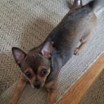 Profile Picture of Devon Woolley (@devon_loves_fortnite) on Instagram