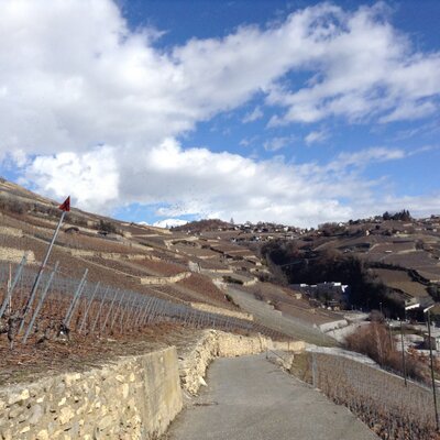 Profile Picture of Zheng chu an (@zhengchuanZJU) on Twitter